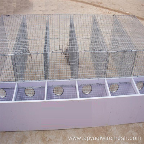 Galvanized Welded Wire Mesh for Agriculture Construction